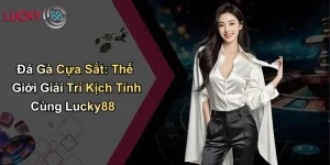 Đá Gà Cựa Sắt: Thế Giới Giải Trí Kịch Tính Cùng Lucky88 6 Đá Gà Cựa Sắt: Thế Giới Giải Trí Kịch Tính Cùng Lucky88