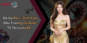 Đá Gà Peru: Đỉnh Cao Đấu Trường Gà Quốc Tế Tại Lucky88 8 Đá Gà Peru: Đỉnh Cao Đấu Trường Gà Quốc Tế Tại Lucky88