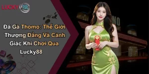 Đá Gà Thomo: Thế Giới Thượng Đẳng Và Cảnh Giác Khi Chơi Qua Lucky88 5 Đá Gà Thomo: Thế Giới Thượng Đẳng Và Cảnh Giác Khi Chơi Qua Lucky88